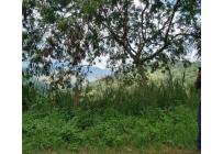 Lotes, Venta, Yumbo - $600.000.000