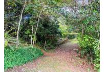 Lotes, Venta, Pance - $1.500.000.000