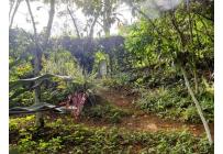 Lotes, Venta, Pance - $1.500.000.000