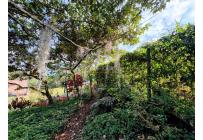 Lotes, Venta, Pance - $1.500.000.000