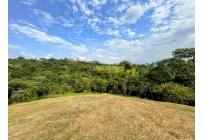 Lotes, Venta, Pance - $1.500.000.000