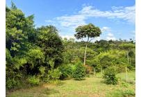 Lotes, Venta, Pance - $1.500.000.000