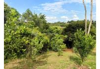 Lotes, Venta, Pance - $1.500.000.000