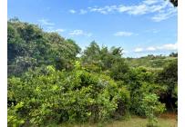 Lotes, Venta, Pance - $1.500.000.000