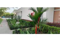 Apartamentos, Venta, Hacienda Kachipay - $280.000.000