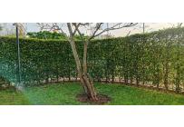 Apartamentos, Venta, Hacienda Kachipay - $280.000.000