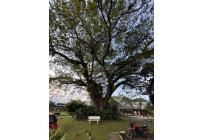 Casas, Venta, Jamundí - $900.000.000