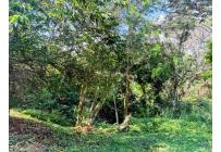 Lotes, Venta, Guadalupe - $450.000.000