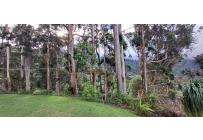 Edificios, Venta, Dapa - $2.299.000.000