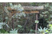 Edificios, Venta, Dapa - $2.300.000.000