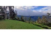 Edificios, Venta, Dapa - $2.300.000.000