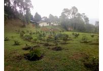 Fincas y Casas Campestres, Venta, La Elvira - $450.000.000