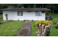 Fincas y Casas Campestres, Venta, La Elvira - $450.000.000