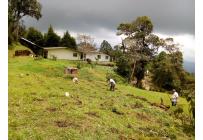 Fincas y Casas Campestres, Venta, La Elvira - $450.000.000