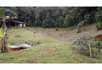 Fincas y Casas Campestres, Venta, La Elvira - $450.000.000