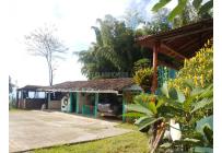 Fincas y Casas Campestres, Venta, Sevilla - $560.000.000