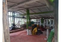 Fincas y Casas Campestres, Venta, Sevilla - $560.000.000