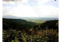 Fincas y Casas Campestres, Venta, Sevilla - $560.000.000