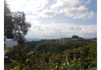 Fincas y Casas Campestres, Venta, Sevilla - $560.000.000