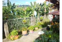 Fincas y Casas Campestres, Venta, Sevilla - $560.000.000