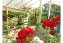 Fincas y Casas Campestres, Venta, Sevilla - $560.000.000