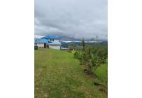 Fincas y Casas Campestres, Venta, Dagua - $950.000.000