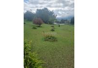 Fincas y Casas Campestres, Venta, Dagua - $950.000.000