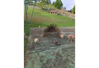 Fincas y Casas Campestres, Venta, Dagua - $1.350.000.000