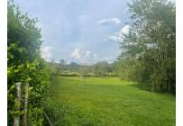 Lotes, Venta, Viterbo - $290.000.000