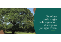 Lotes, Venta, Pance - $2.500.000.000