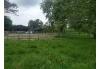 Fincas y Casas Campestres, Venta, Candelaria - $4.000.000.000