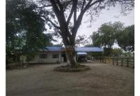 Fincas y Casas Campestres, Venta, Candelaria - $4.000.000.000