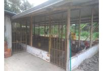 Fincas y Casas Campestres, Venta, Candelaria - $4.000.000.000