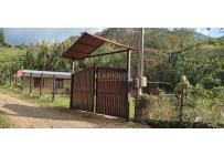 Fincas y Casas Campestres, Venta, Tuluá - $260.000.000