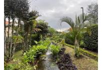 Casas, Alquiler, Pance - $12.000.000