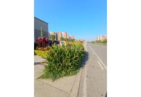 Apartamentos, Venta, Jamundí - $245.000.000