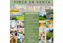 Fincas y Casas Campestres, Venta, Dagua