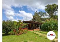 Fincas y Casas Campestres, Venta, Dagua - $870.000.000