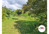 Fincas y Casas Campestres, Venta, Dagua - $520.000.000