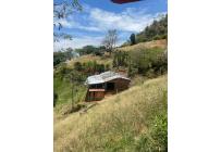 Fincas y Casas Campestres, Venta, La Elvira - $550.000.000