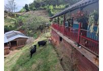 Fincas y Casas Campestres, Venta, La Elvira - $550.000.000