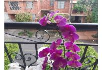 Casas, Venta, Caney - $540.000.000