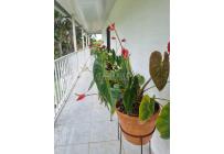 Fincas y Casas Campestres, Venta, Dagua - $420.000.000