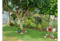 Fincas y Casas Campestres, Venta, Dagua - $420.000.000