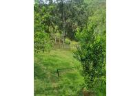 Fincas y Casas Campestres, Venta, Dagua - $420.000.000