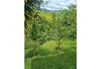 Fincas y Casas Campestres, Venta, Dagua - $420.000.000