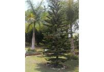 Fincas y Casas Campestres, Venta, Dagua - $450.000.000