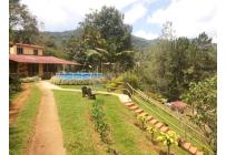 Fincas y Casas Campestres, Venta, Dagua - $1.650.000.000