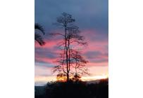 Fincas y Casas Campestres, Venta, Dagua - $1.650.000.000