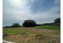 Lotes, Venta, Palmira - $335.000.000